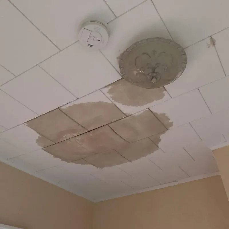 Ceiling Water Damage Repair in Moline Acres, MO