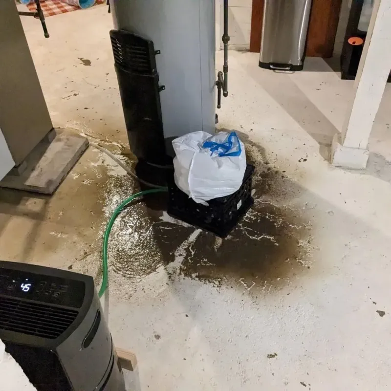 Sewage Backup Cleanup Service in Moline Acres, MO